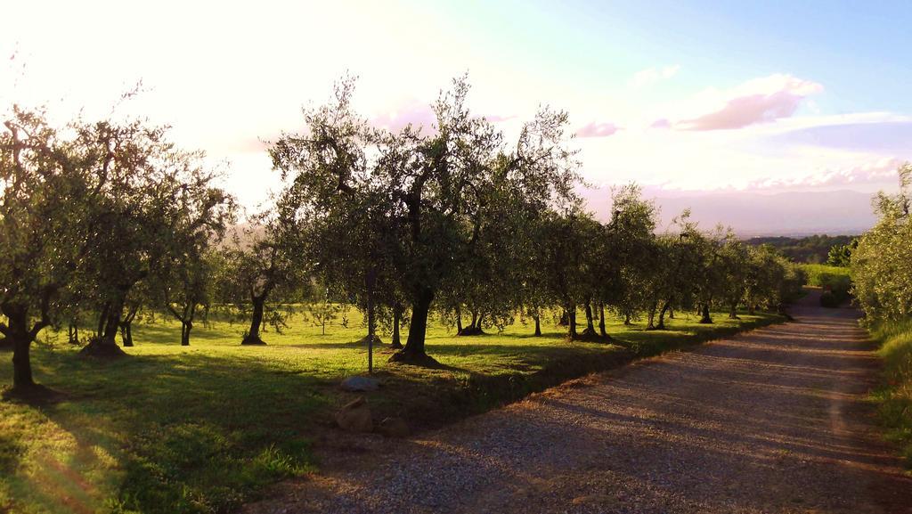Podere La Casuccia Malmantile Quarto foto